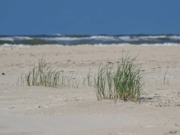 Kuzey denizindeki juist adası.