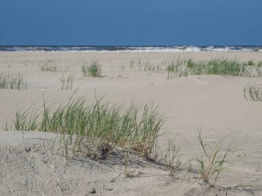 Kuzey denizindeki juist adası.