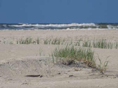 Kuzey denizindeki juist adası.