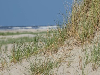 Kuzey denizindeki juist adası.