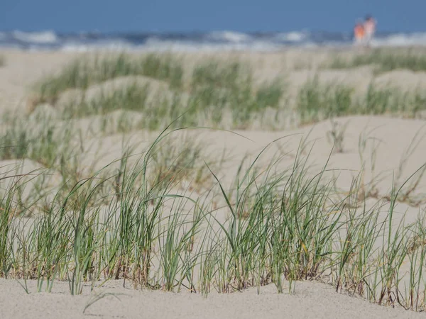 Kuzey denizindeki juist adası.