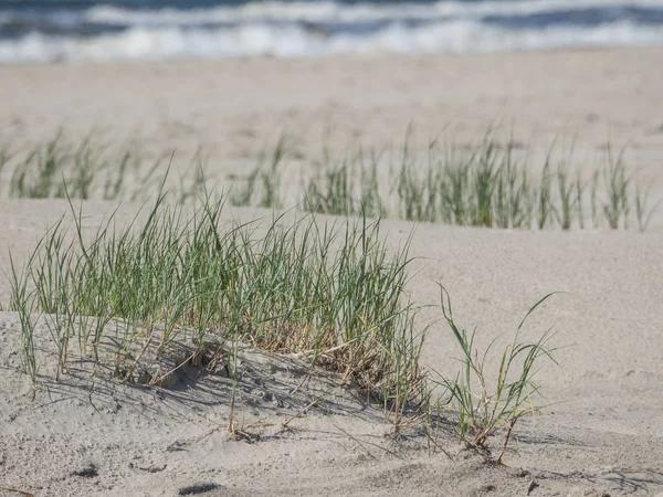 Kuzey denizindeki juist adası.