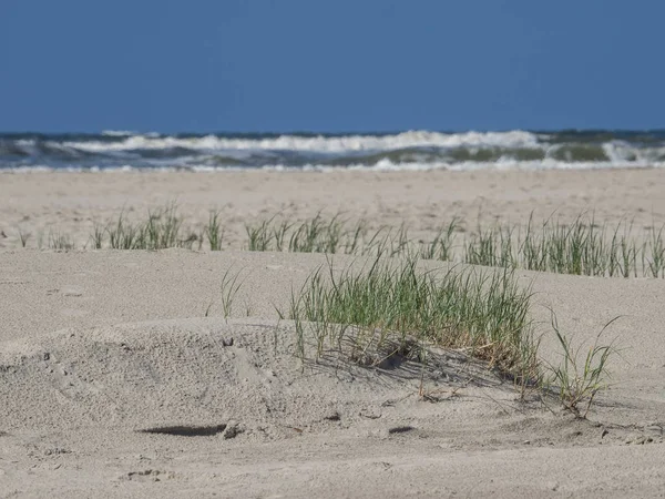 Kuzey denizindeki juist adası.