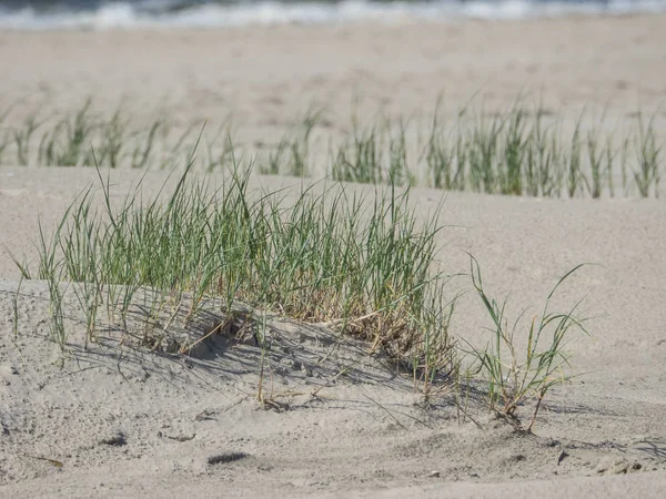 Kuzey denizindeki juist adası.