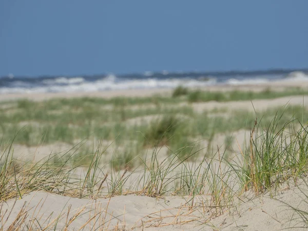 Kuzey denizindeki juist adası.