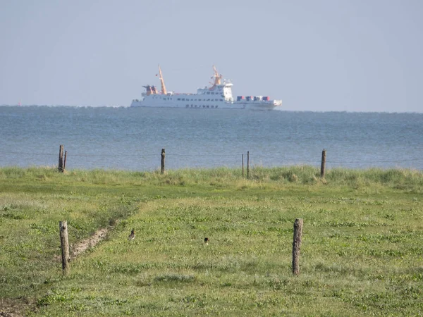 Island Juist North Sea — Stock Photo, Image