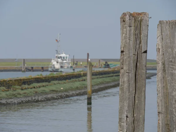 Kuzey denizindeki juist adası.