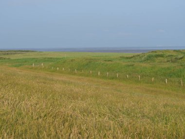 Juist Kuzey Denizi'nde Alman ada