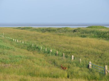 Juist Kuzey Denizi'nde Alman ada