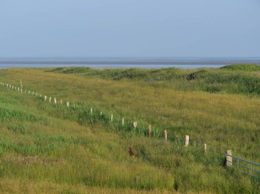 Juist Kuzey Denizi'nde Alman ada