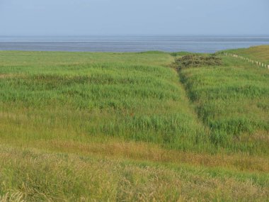 Juist Kuzey Denizi'nde Alman ada