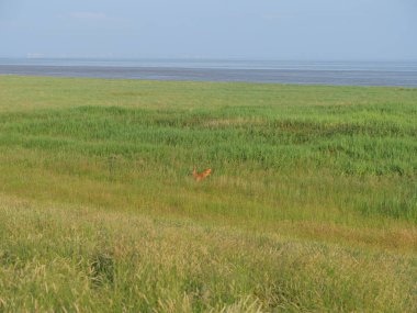 Juist Kuzey Denizi'nde Alman ada