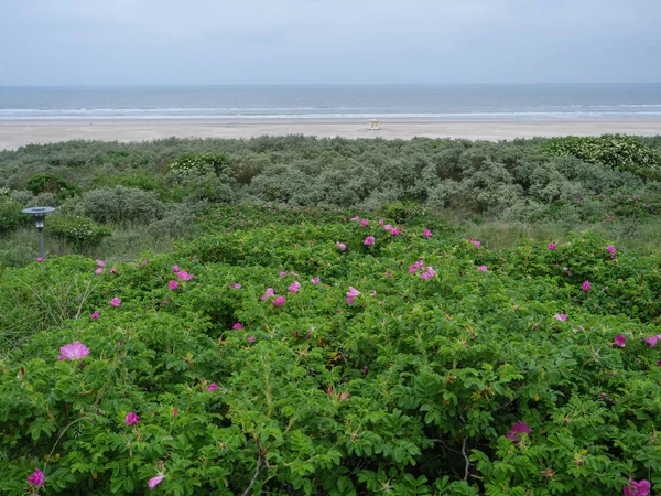 Juist Kuzey Denizi'nde Alman ada