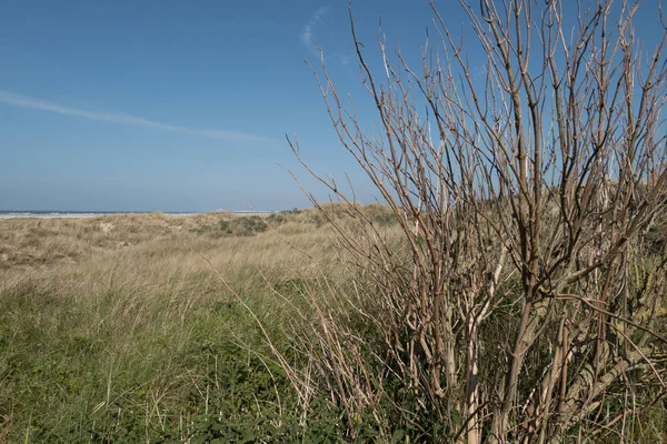 Juist Kuzey Denizi'nde Alman ada