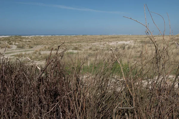 Juist Kuzey Denizi'nde Alman ada