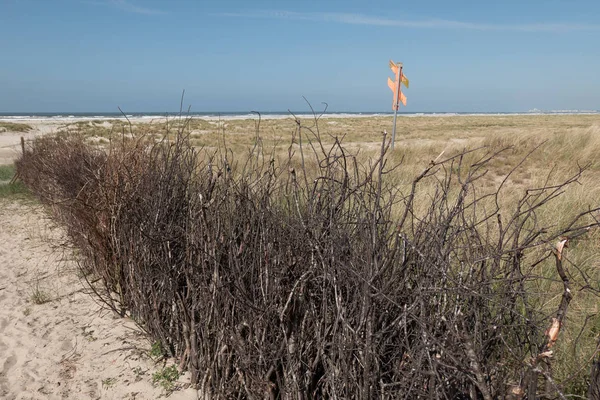 Juist Kuzey Denizi'nde Alman ada