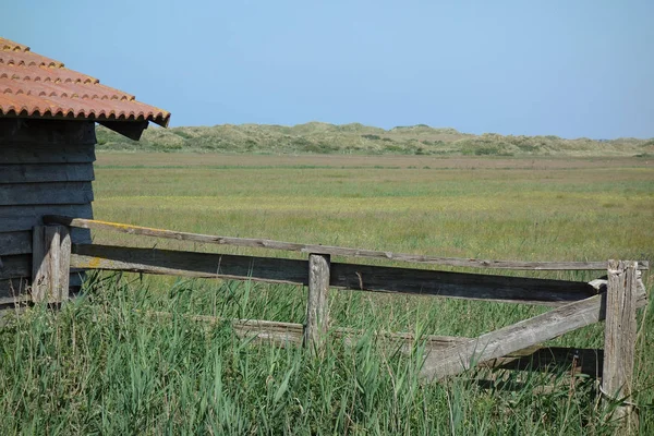 Juist Kuzey Denizi'nde Alman ada