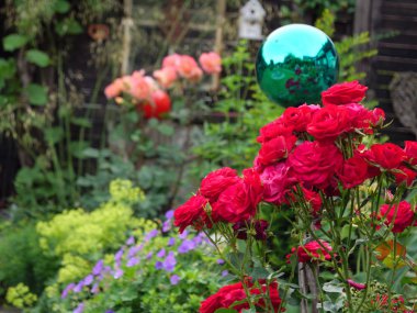 Bir Alman bahçesinde yaz mevsimi