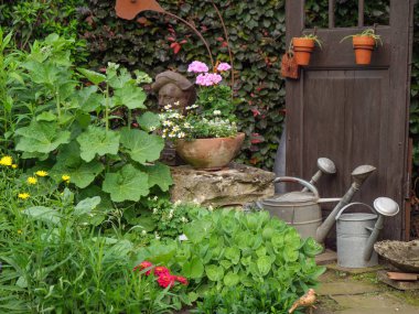 Bir Alman bahçesinde yaz mevsimi