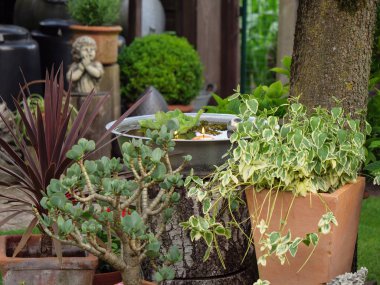 Bir Alman bahçesinde yaz mevsimi