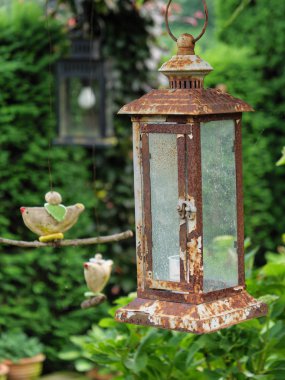 Bir Alman bahçesinde yaz mevsimi