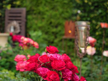 Bir Alman bahçesinde yaz mevsimi