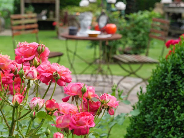 Bir Alman bahçesinde yaz mevsimi