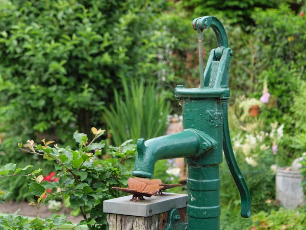 Bir Alman bahçesinde yaz mevsimi