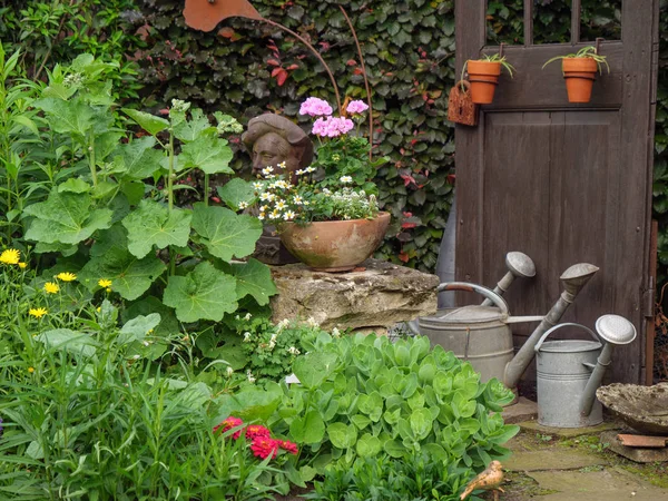 Bir Alman bahçesinde yaz mevsimi