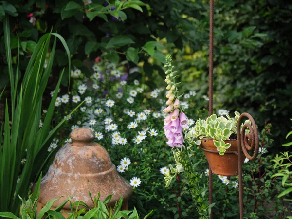 Hora Verano Jardín Alemán — Foto de Stock