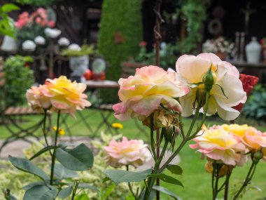 Bir Alman bahçesinde yaz mevsimi