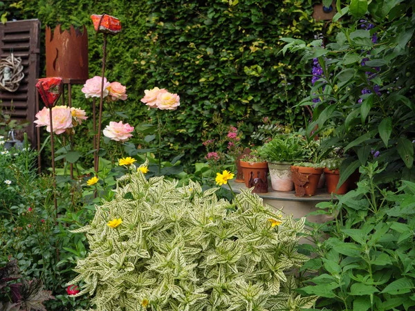 Bir Alman bahçesinde yaz mevsimi