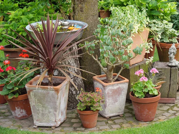 Bir Alman bahçesinde yaz mevsimi