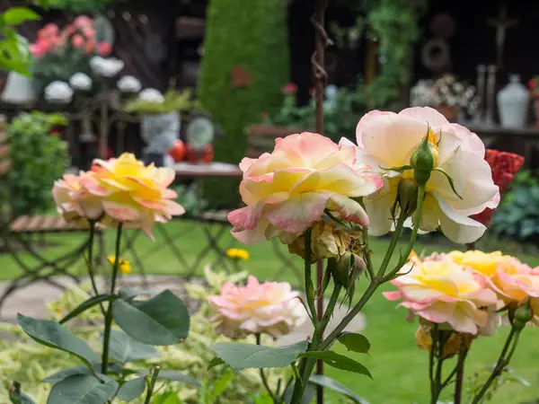 Bir Alman bahçesinde yaz mevsimi