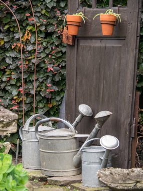 Bir Alman bahçesinde yaz mevsimi