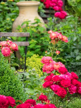 Bir Alman bahçesinde yaz mevsimi