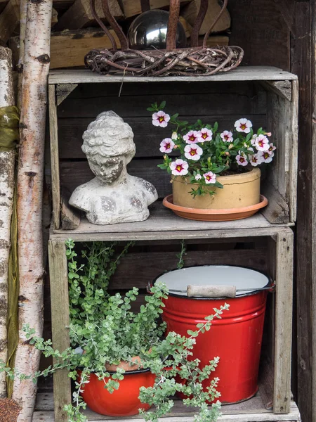 Bir Alman bahçesinde yaz mevsimi