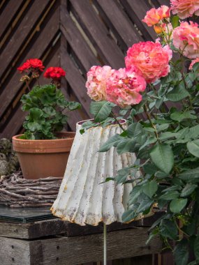 Bir Alman bahçesinde yaz mevsimi