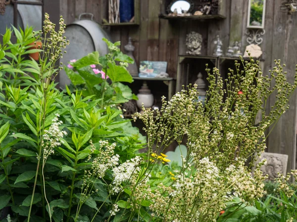 Bir Alman bahçesinde yaz mevsimi