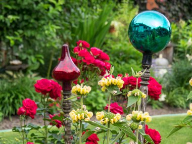 Bir Alman bahçesinde yaz mevsimi