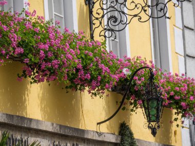 Duernstein ve tuna Vadisi