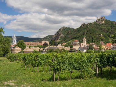 Duernstein ve tuna Vadisi