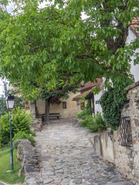 Duernstein ve tuna Vadisi