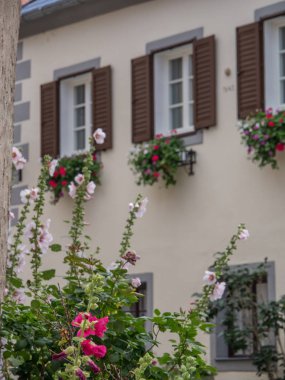 Duernstein ve tuna Vadisi