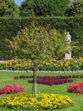 Avusturya 'nın Viyana kenti