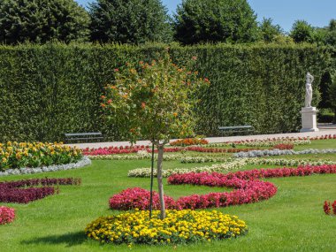 Avusturya 'nın Viyana kenti