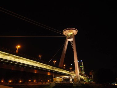 Avusturya 'daki Viyana şehri.