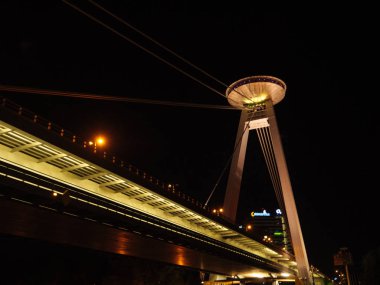 Avusturya 'daki Viyana şehri.