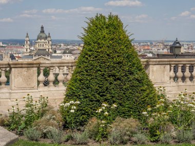 Budapeşte şehir