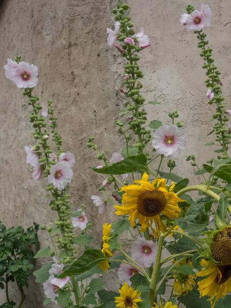 Duernstein ve tuna Vadisi